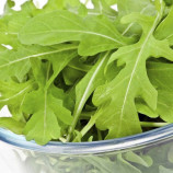 Рокет насіння руколи зел. (Moravoseed)