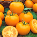 Ромус семена томата индет. желтого (Moravoseed)