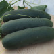 Рамзес F1 семена огурца партенокарп. раннего 40-45 дн. 18-20 см (Moravoseed)