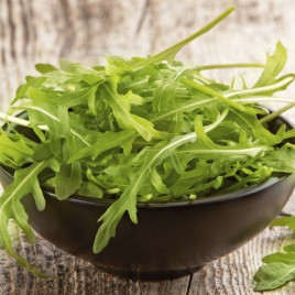 салат руккола вайлд рокет