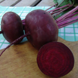 Египетский семена свеклы столовой ранний 110 дн (Moravoseed)