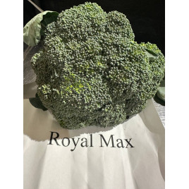 Роял Макс F1 (Royal Max F1) насіння капусти брокколі ранньої 65-67 дн. 0,5-0,8 кг (ZKI)