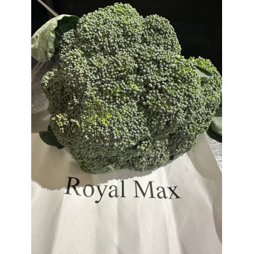 Роял Макс F1 (Royal Max F1) семена капусты брокколи ранней 65-67 дн. 0,5-0,8 кг (ZKI)