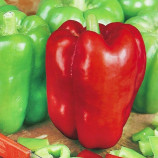 Ожаровский семена перца сладкого (Яскрава)