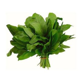 Бельвильский Широколистный семена щавеля (Moravoseed)