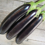 Баклажан Гоби