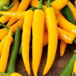 Перець Харлей