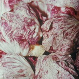 Ди Кьоджа (Ди Кежа) семена салатного цикория тип Радиччио/Уранус среднего 60 дн. 300-350гр. красн. (Moravoseed)