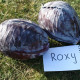 Рокси F1 (Roxy F1) семена капусты к/к поздней 125-135 дн. 2-3,5 кг овал. (Seminis)