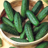 Наташа F1 семена огурца пчелоопыляемого (Seminis)