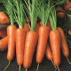 Морковь Абразо F1 (Abrazo F1) (2,2-2,4) 