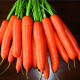 Морква Карруба F1 (1,8-2,0)