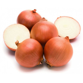 Лук Миннесота F1 