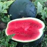 Кавун Маніса F1