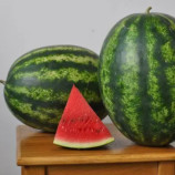 Мисон F1 (Эмир F1) семена арбуза тип кр.св. ультрараннего 60-62 дн. 9-11 кг овал. (Yuksel)