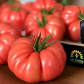 Пинк Кой F1 семена томата индет. розового 300-320г (Yuksel)