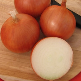 Медуза F1 семена лука репчатого среднераннего 110 дн. (Takii Seeds)