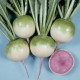 Ред Мит семена редьки японской 60-70 дн. 300 гр. окр. (Takii Seeds)