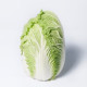 Кьюстар F1 семена капусты пекинской ранней 55 дн. 1-2 кг (Takii Seeds)