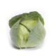 Чирз F1 семена капусты б/к среднеранней 75-80 дн. 2-2,5 кг окр. (Takii Seed)