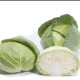 Чирз F1 семена капусты б/к среднеранней 75-80 дн. 2-2,5 кг окр. (Takii Seed)