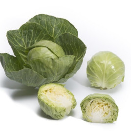 Престар F1 насіння капусти б/к ранньої (Takii Seeds)