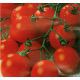 Садовая жемчужина семена томата дет. черри (Satimex)