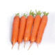 Гладиус F1 (калибр. 2,0-2,2 мм) семена моркови тип Нантес средней 120 дн. 18-20 см (Takii Seeds)