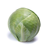 Коронейшн F1 семена капусты б/к поздней 120 дн. 2-4 кг окр. (Takii Seeds)