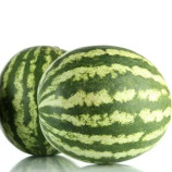 Ау Продюсер семена арбуза тип Кримсон Свит (United Genetics)