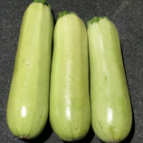 Елеонор F1 насіння кабачка (United Genetics)