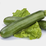 Династия F1 семена кабачка (United Genetics)