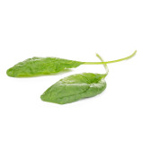 Білбі F1 (Bilby) насіння шпинату овал. (Rijk Zwaan)