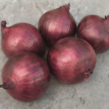 лук репчатый ред рум f1