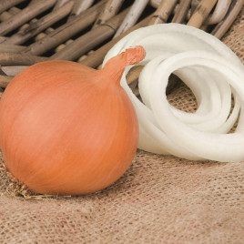 Манас F1 семена лука репчатого (Bejo)