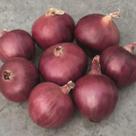 Ред Булл F1 семена лука репчатого красного (Bejo)