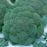 Баро Стар F1 семена капусты брокколи (NongWoo Bio)