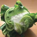 Илькар F1 семена капусты цветной ранней 63-65 дн. (NongWoo Bio)