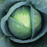 Галакси F1 семена капусты б/к поздней (NongWoo Bio)