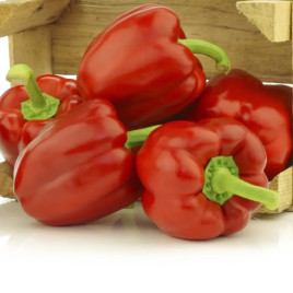 Синдерелла F1 семена перца сладкого (United Genetics)