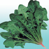 Кінг насіння шпинату (NongWoo Bio)