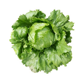 Солейсон насіння салату тип Айсберг 750 грам зел. (Hazera)