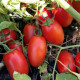 Філікса F1 насіння томату дет. раннього слив. 80-100 гр. червоний (Rijk Zwaan)