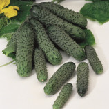 Огурец Пасалимо F1