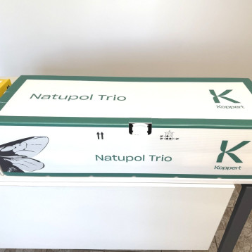 Шмели Трио TRIO (KOPPERT)