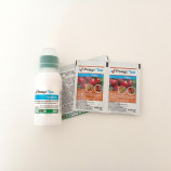 Ревус Топ фунгіцид (Syngenta)