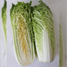 Капуста Ясира F1 