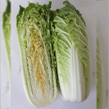 Капуста Ясіра F1 