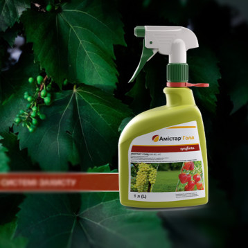 Амистар Голд Спрей фунгицид (Syngenta)