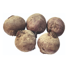 Суперб F1 насіння буряка столового середньораннього 60-62 дн. окр. (Spark Seeds)